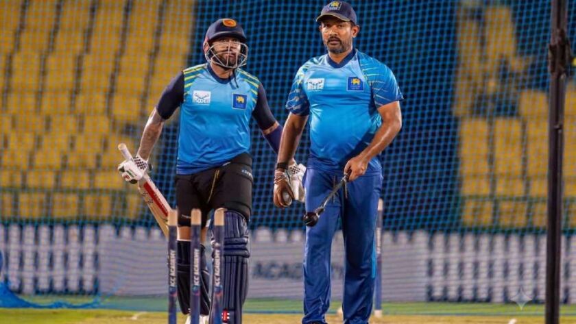 cricket action